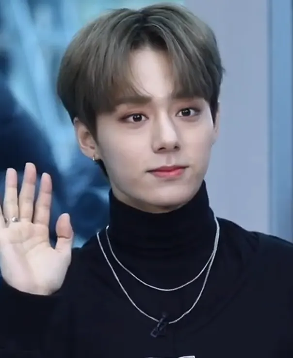 Hwanwoong