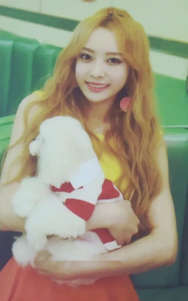 MelodyDay