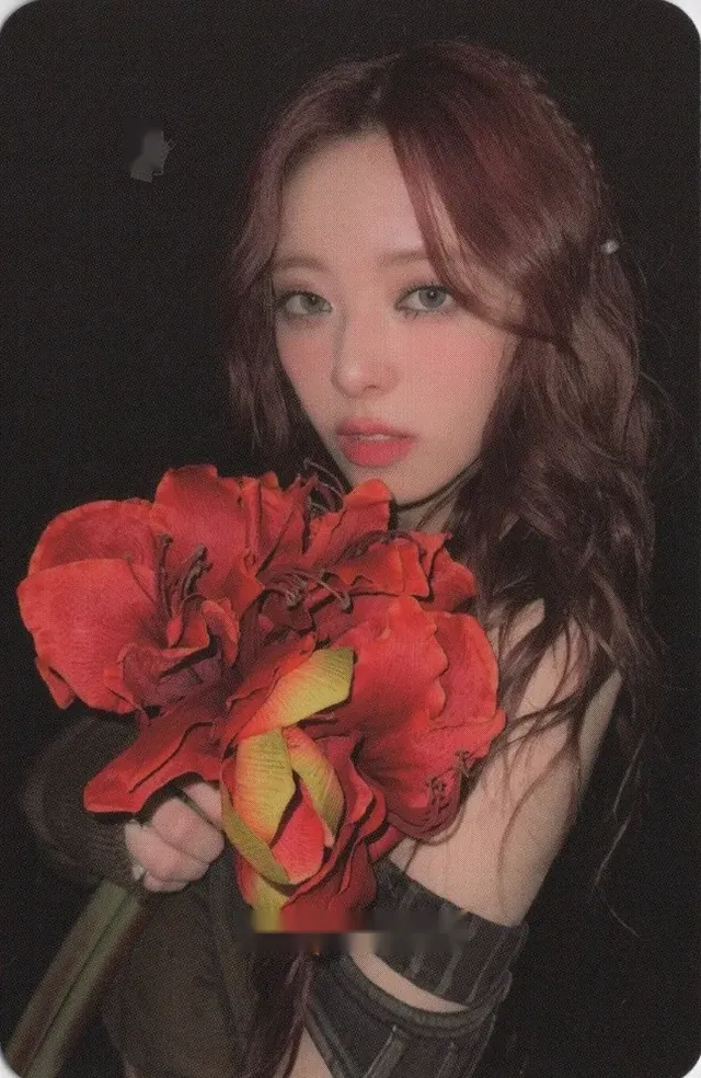Photocards — ITZY, BORN TO BE — Cartes bonus