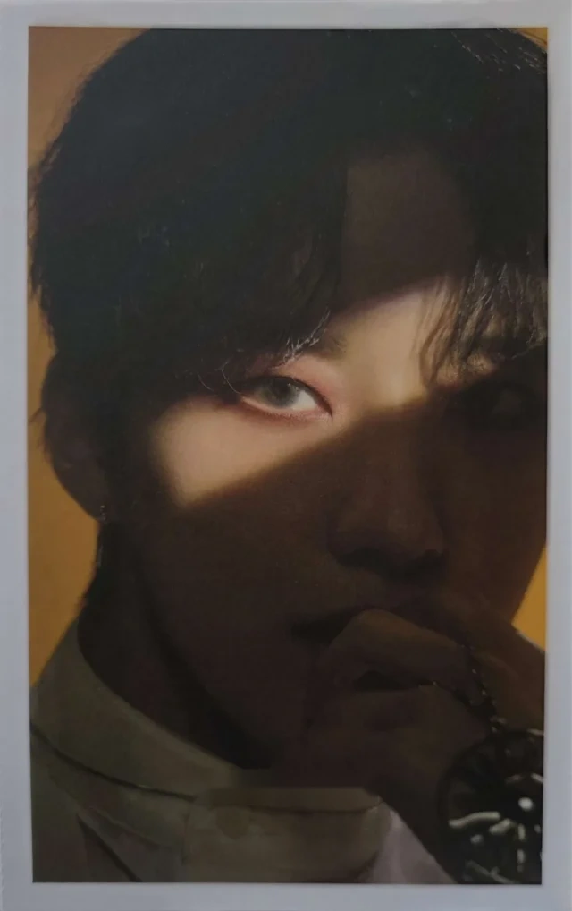 Choi In