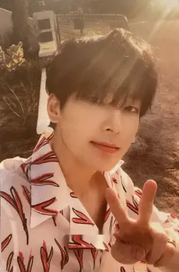 Wonwoo · Heng:garæ