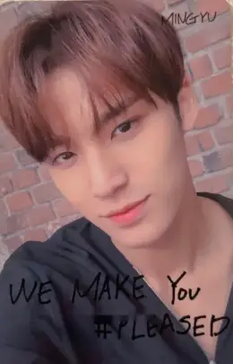 Mingyu · We Make You