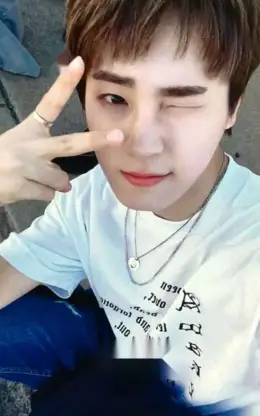 Seungmin · WISH