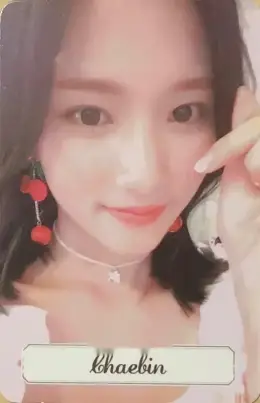 Chaebin · Girls and Flowers
