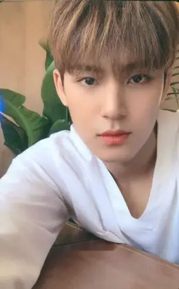 Mingyu · Happy Ending
