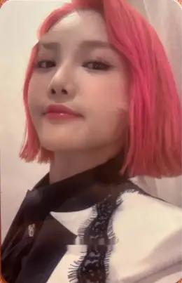Cui Xiang · Flamingo