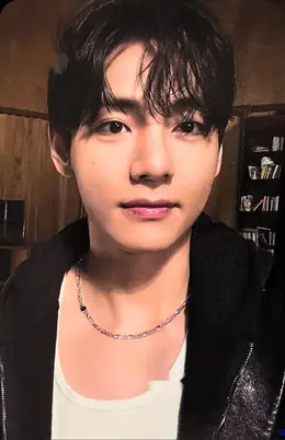 V · ARIRANG