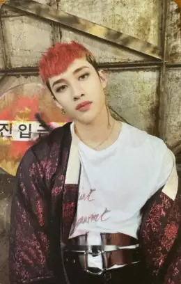 Bang Chan · IN LIFE