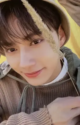 Jun · Face the Sun