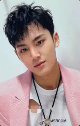 Mingyu · Fallin' Flower