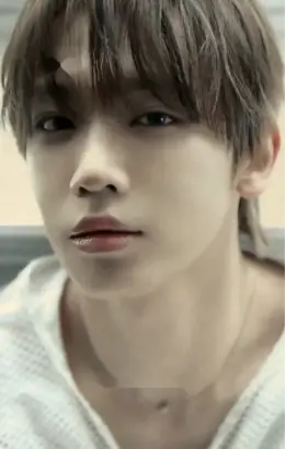 Shuaibo · Run To You
