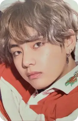 V · Love Yourself: Her