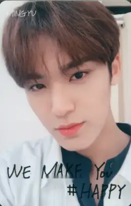 Mingyu · We Make You