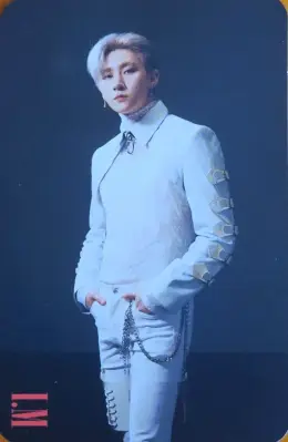 I.M · Alligator