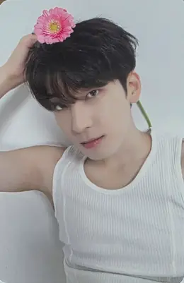 Wonwoo · 17 IS RIGHT HERE