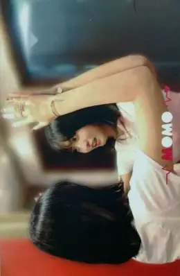 Momo · SIGNAL