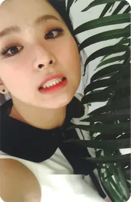 Seulgi · The Velvet