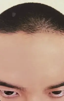 D.O. · Universe