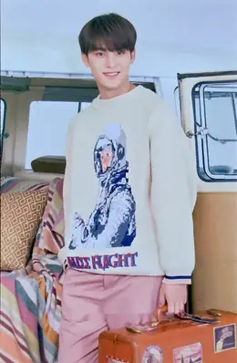 Mingyu · 2019 3RD SVT IN CARAT LAND