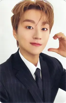 Mingyu · FNL : Forestella Night Live