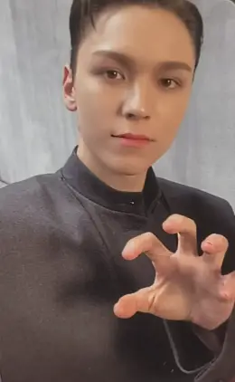 Vernon · Face the Sun