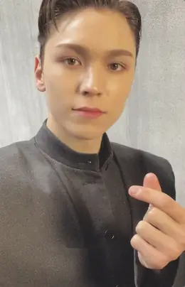 Vernon · Face the Sun
