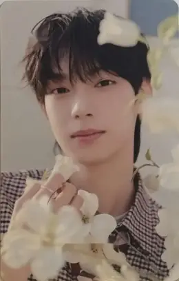 Chuei Li Yu · SWEET DREAM JAPAN Special Edition