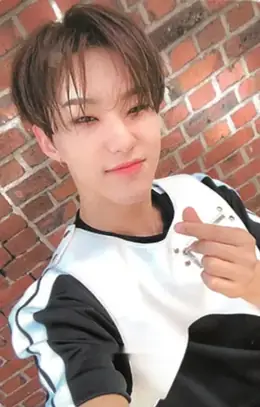 Hoshi · An Ode