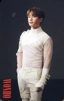 Wonho · Alligator