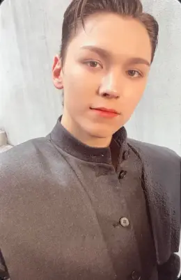 Vernon · Face the Sun
