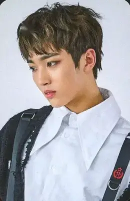 Sunyoul · Wild Love