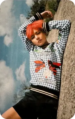 V · Young Forever