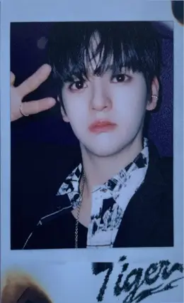 Sungyun · Tiger