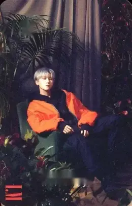 I.M · Alligator