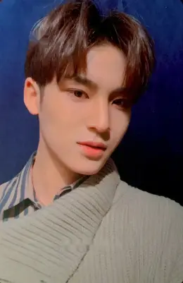 Mingyu · You Made My Dawn