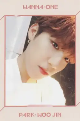 Woojin · 1÷x=1 (Undivided)
