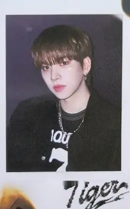 Hanjun · Tiger