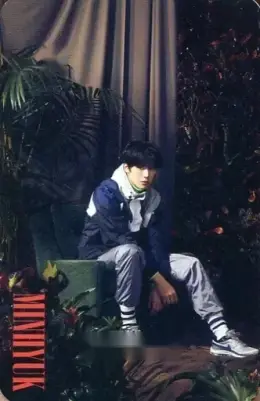 Minhyuk · Alligator