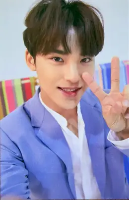 Mingyu · 2019 3RD SVT IN CARAT LAND