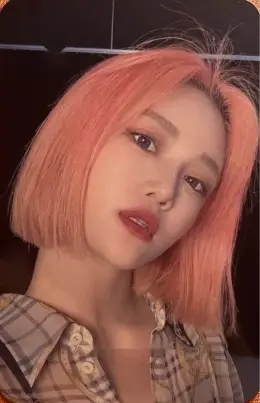Cui Xiang · Flamingo