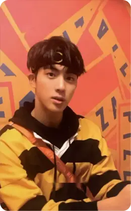 Jin · Love Yourself: Her