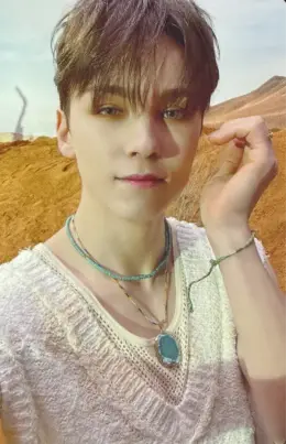 Vernon · Face the Sun