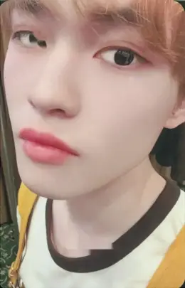 Chenle · Moonlight