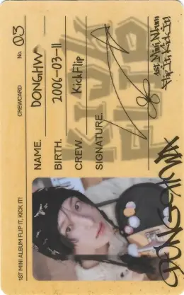 Donghwa · Flip It, Kick It!