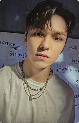 Vernon · Face the Sun