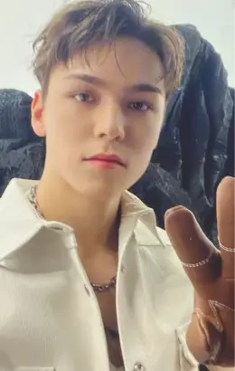 Vernon · Face the Sun
