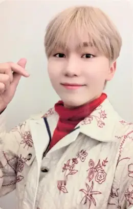 Seungkwan · Not Alone