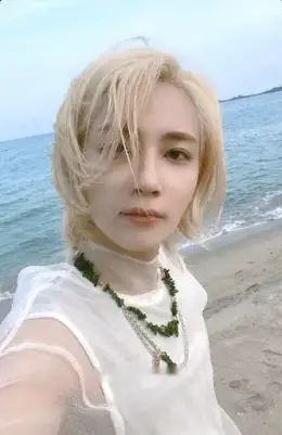 Jeonghan · Attacca