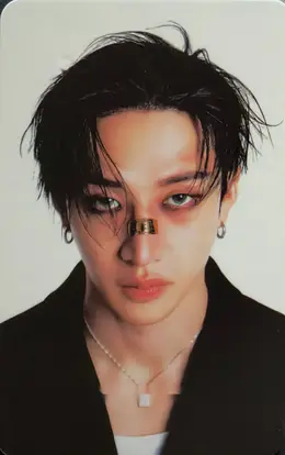 Bang Chan · KARMA