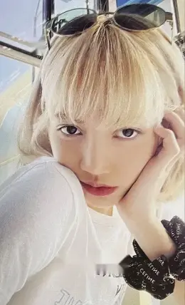 Lisa · BORN PINK